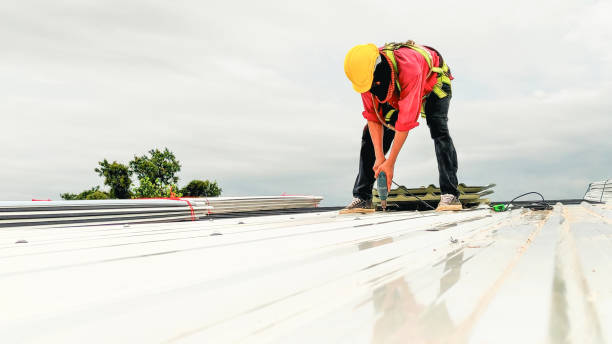 Best Roof Inspection  in Nneconne, WI