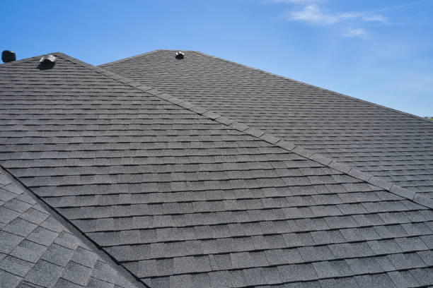 Best Roof Ventilation Installation  in Nneconne, WI