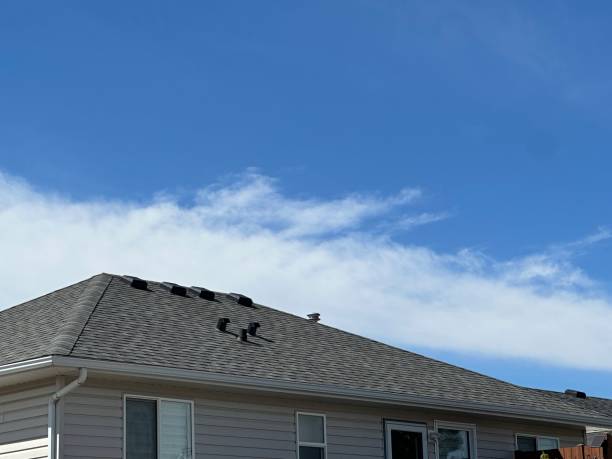 Best Metal Roofing Installation  in Nneconne, WI